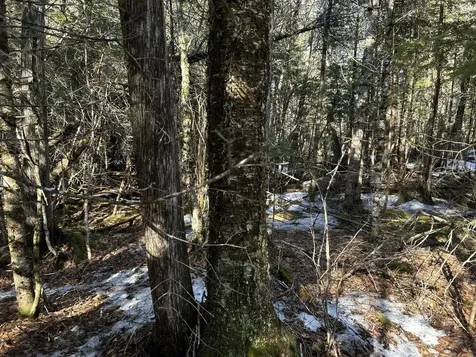 MAP5LOT1 Silvers Mills Road Sangerville ME 04479