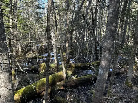 MAP5LOT1 Silvers Mills Road Sangerville ME 04479
