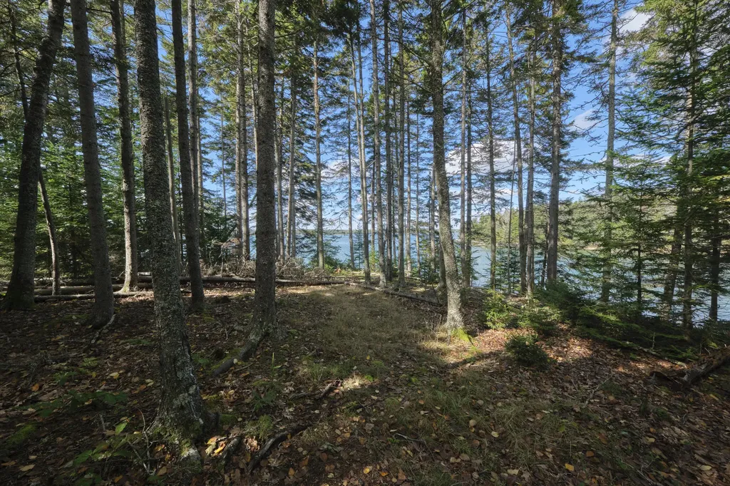 422 Wallston Road Saint George ME 04860