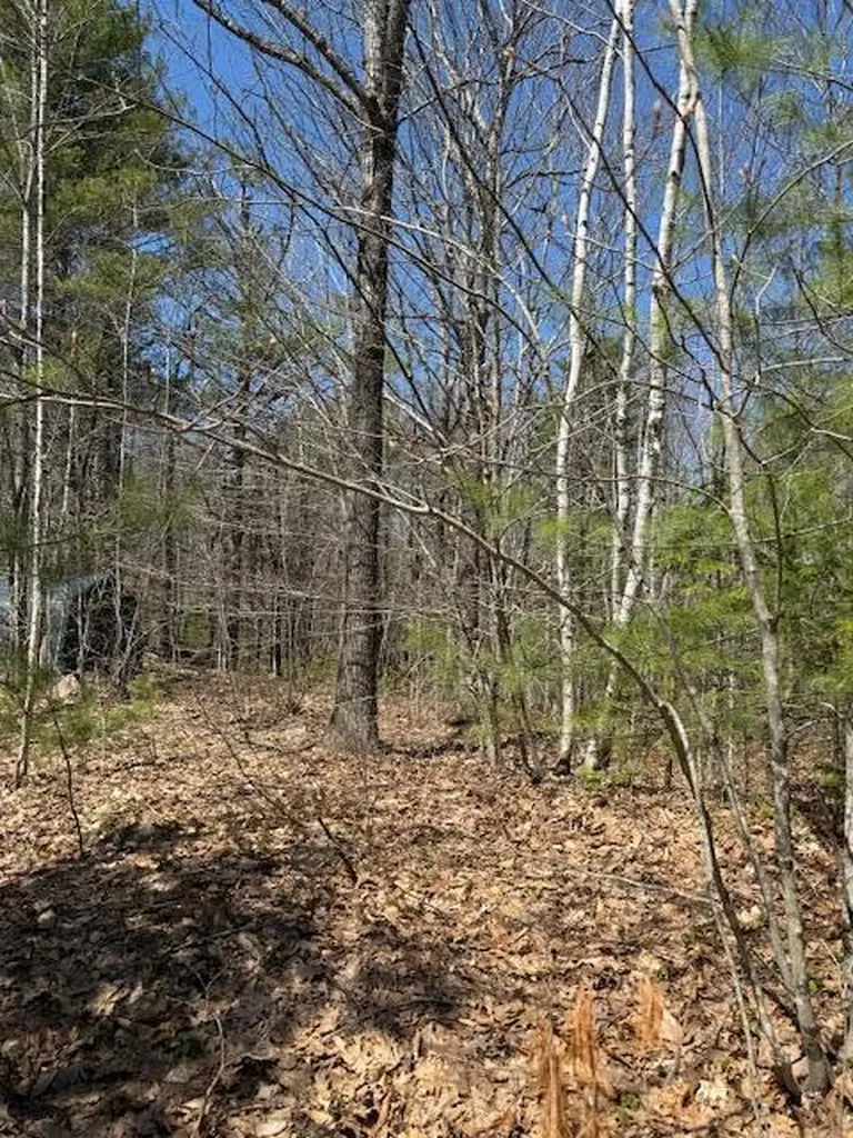 M10, L71 Logan Ridge Road Chelsea ME 04330
