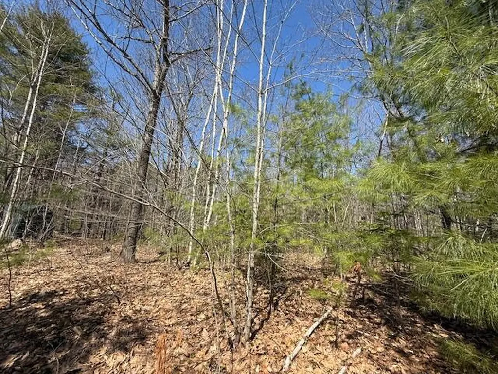 M10, L71 Logan Ridge Road Chelsea ME 04330