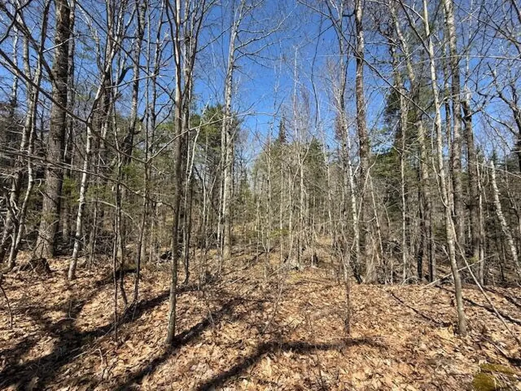 M10, L71 Logan Ridge Road Chelsea ME 04330