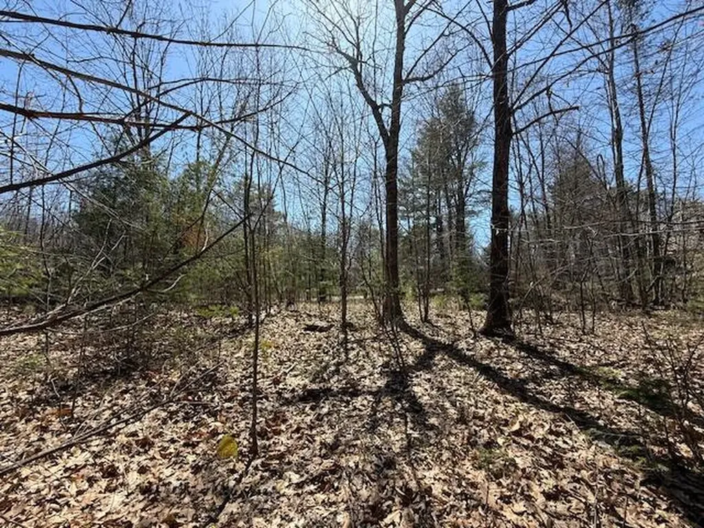 M10, L71 Logan Ridge Road Chelsea ME 04330