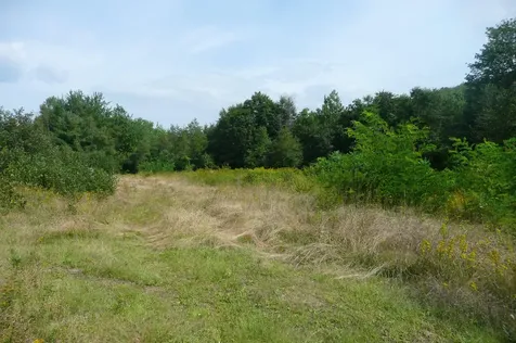 Lots B&c Hanslip Road Wilton ME 04294
