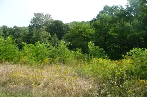 Lots B&c Hanslip Road Wilton ME 04294