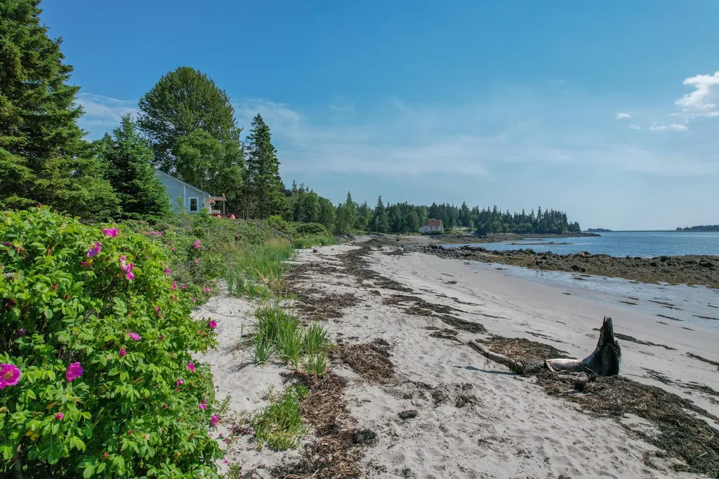 397 Cape Split Road Addison ME 04606
