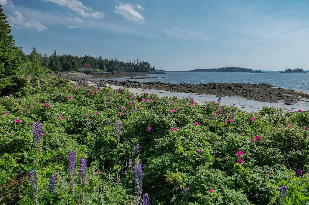 397 Cape Split Road Addison ME 04606