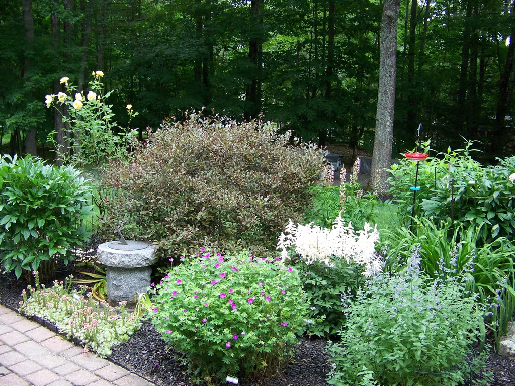 50 Underhill Drive Gorham ME 04038