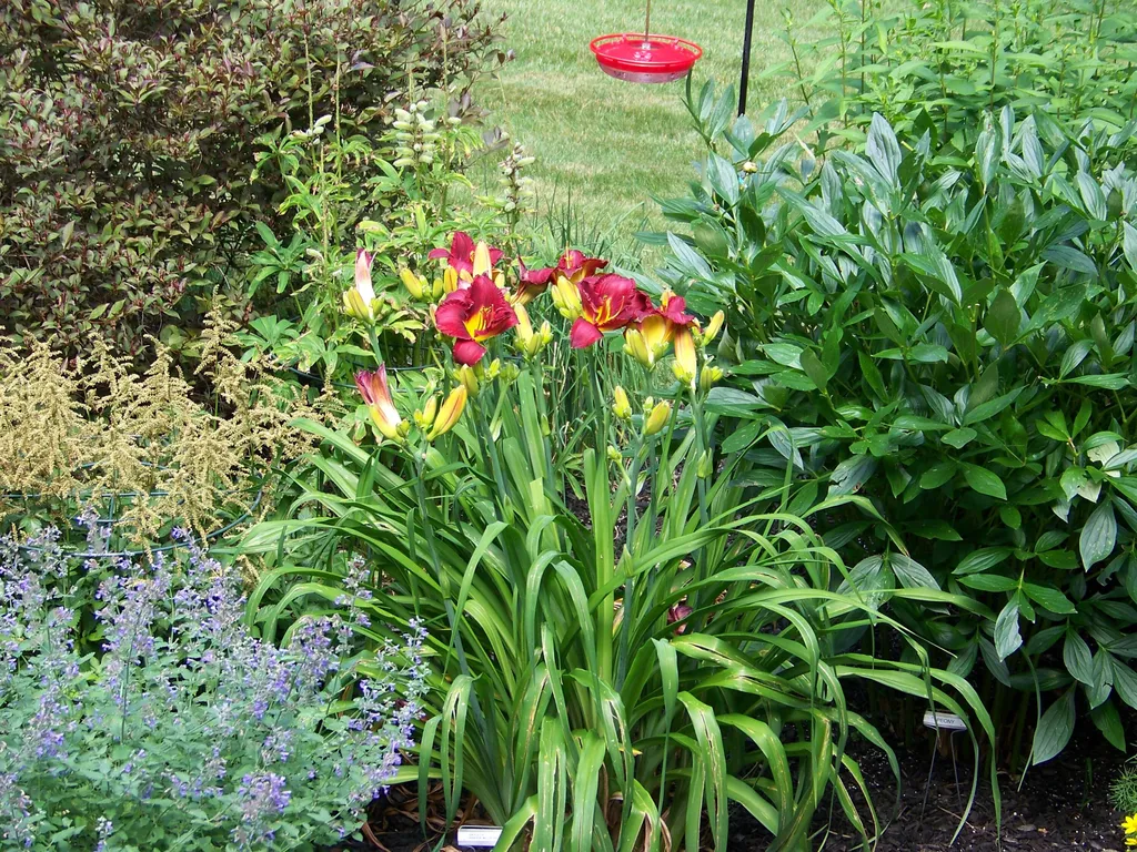 50 Underhill Drive Gorham ME 04038