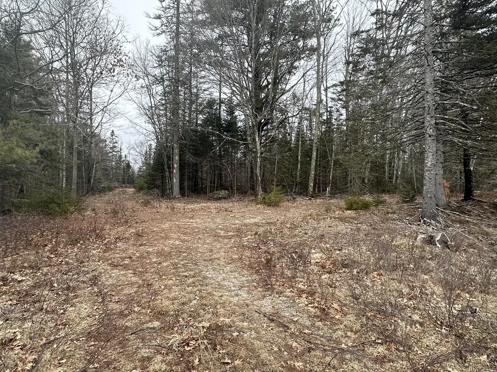 221 Bucksport Road Ellsworth ME 04605