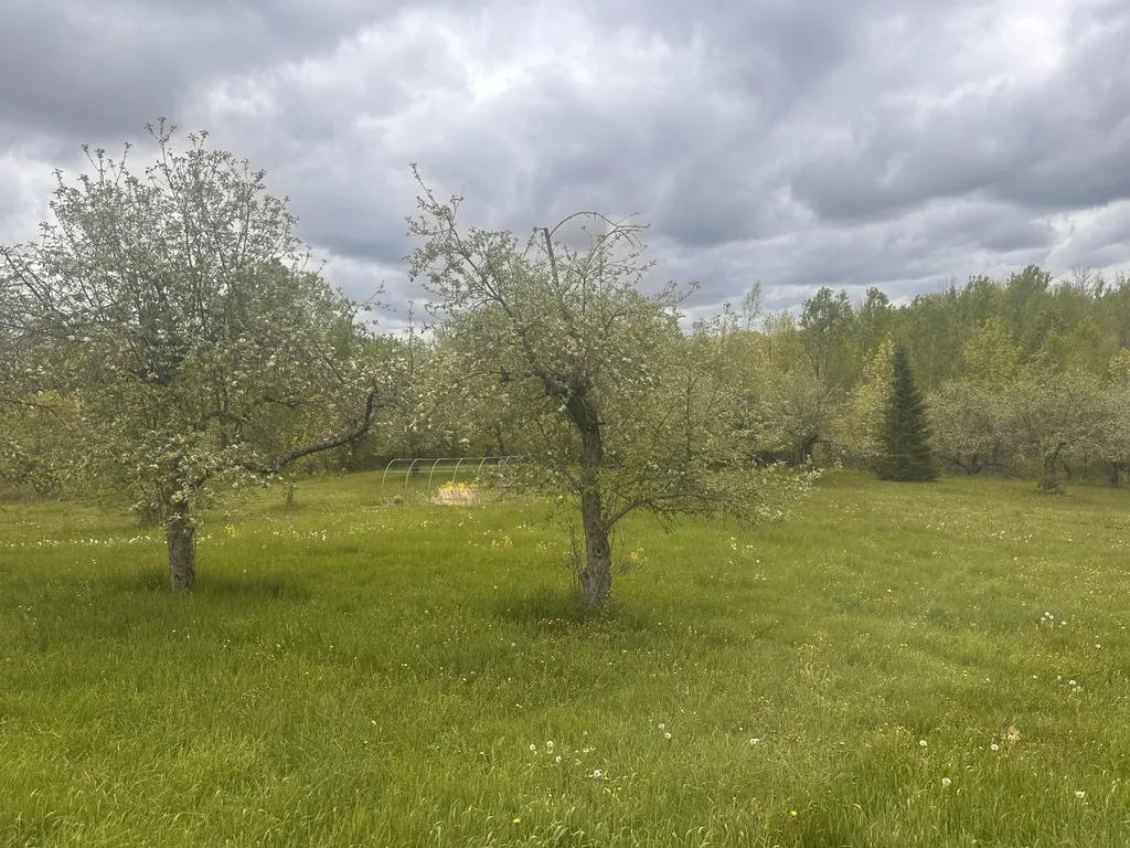 187 Purkis Road Buckfield ME 04220