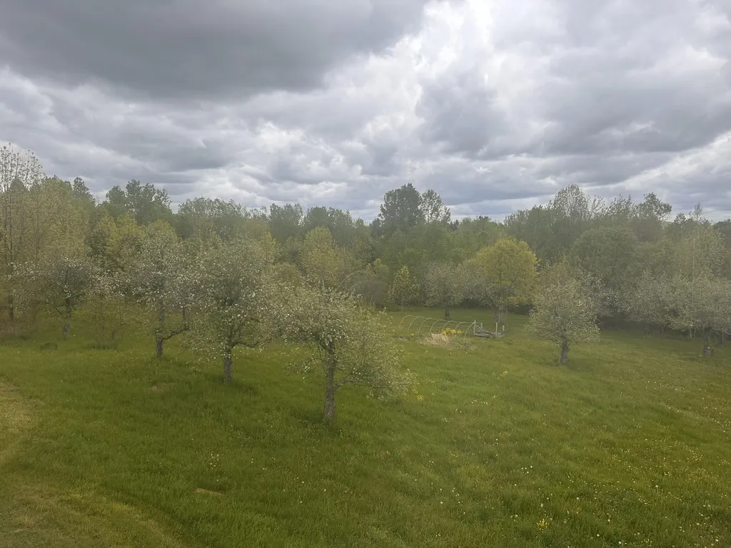187 Purkis Road Buckfield ME 04220