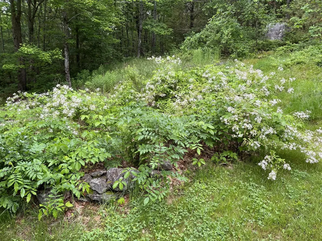 626 Wiscasset Road Pittston ME 04345