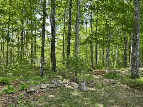 142 Palmer Road Thorndike ME 04986