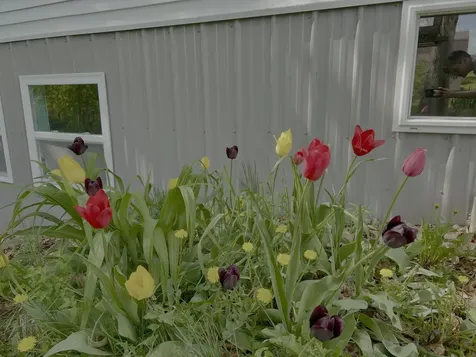 142 Palmer Road Thorndike ME 04986