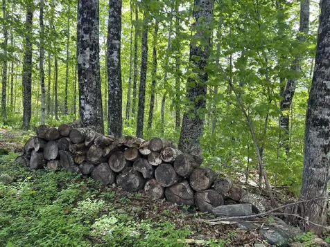 142 Palmer Road Thorndike ME 04986