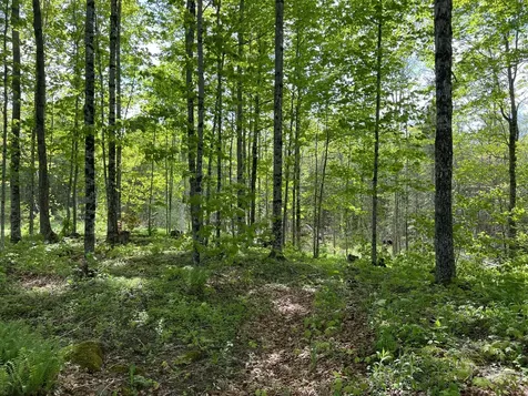 142 Palmer Road Thorndike ME 04986