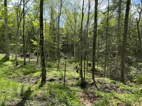142 Palmer Road Thorndike ME 04986