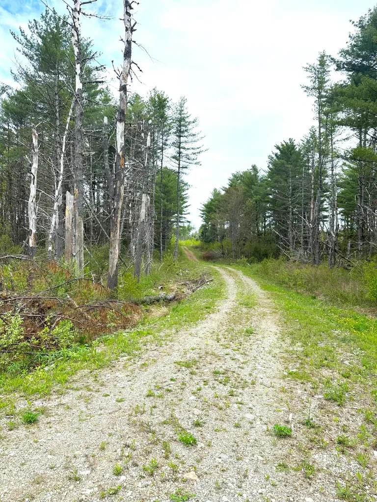 Lot 11 11a &11C Partridge Road Hampden ME 04444