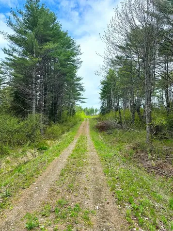 Lot 11 11a &11C Partridge Road Hampden ME 04444