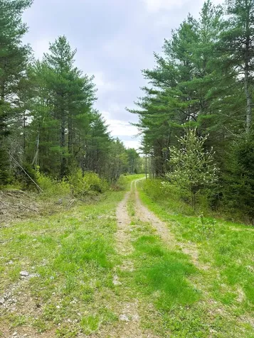 Lot 11 11a &11C Partridge Road Hampden ME 04444