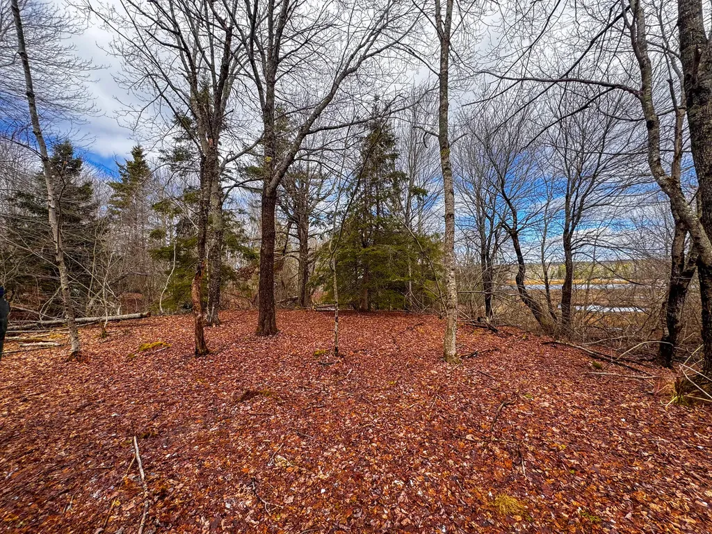 M5L42 Hooke Road Harrington ME 04643