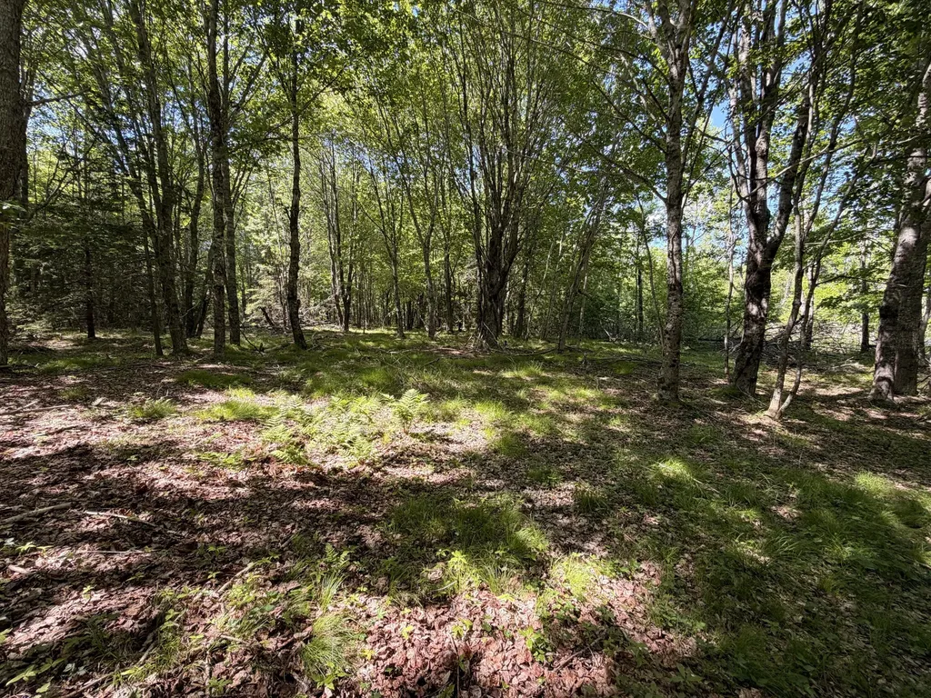 M5L42 Hooke Road Harrington ME 04643