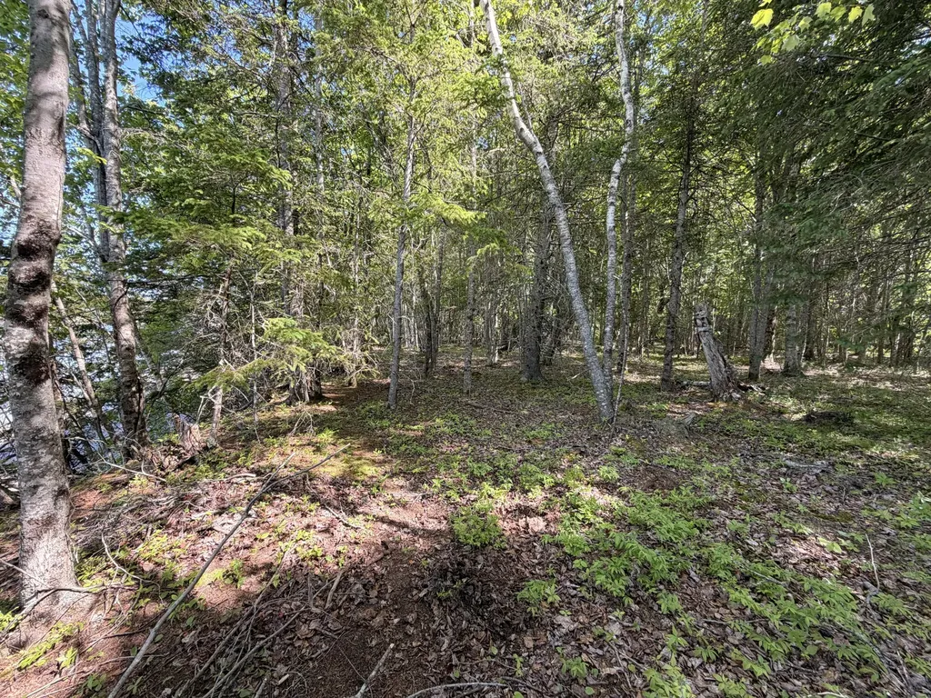 M5L42 Hooke Road Harrington ME 04643