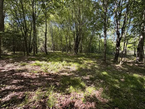 M5L42 Hooke Road Harrington ME 04643
