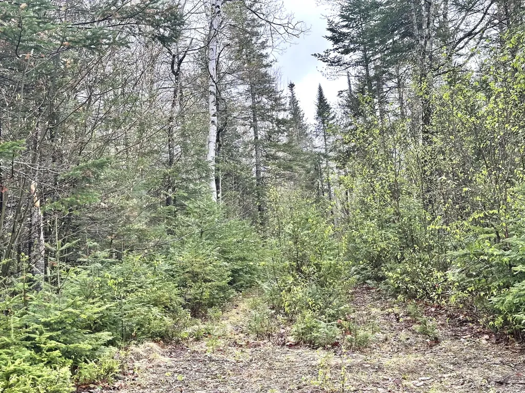 5.15 Baker Hill Road Salem Twp ME 04983