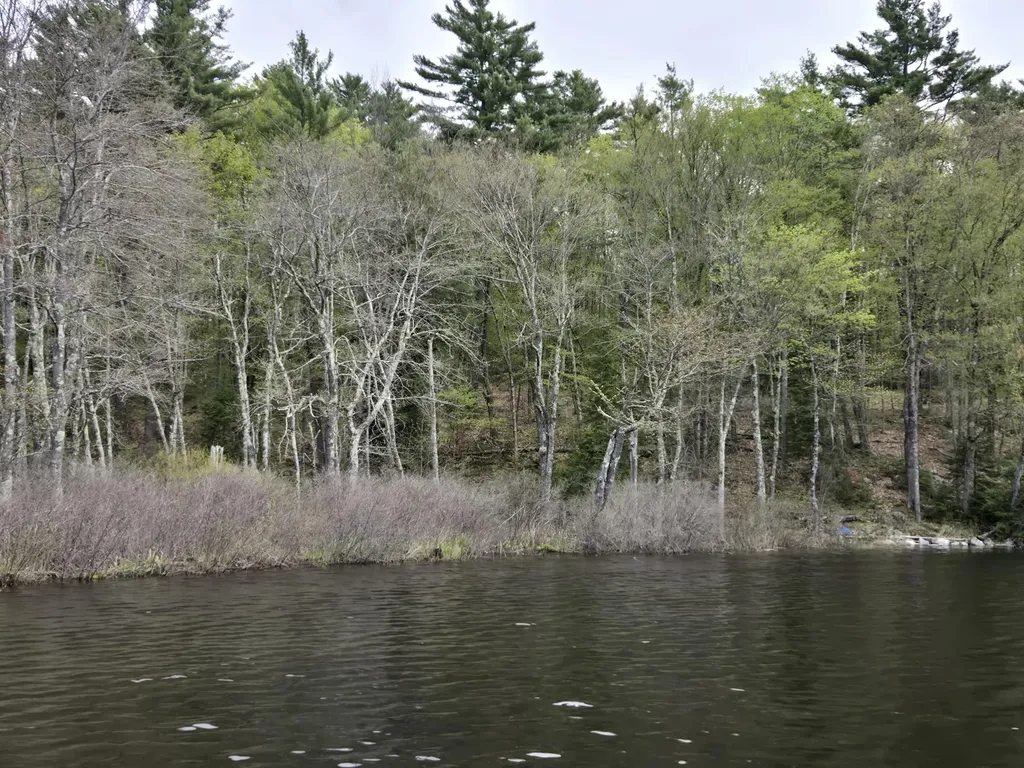 M7 L104-1 Lake George Canaan ME 04924