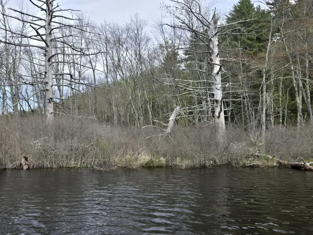 M7 L104-1 Lake George Canaan ME 04924