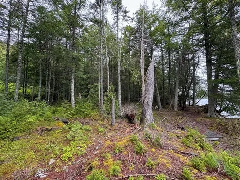 M7L16 Upper Pug Road W Lakeville ME 04487