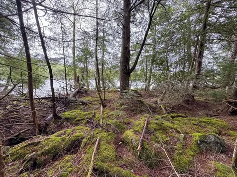 M7L16 Upper Pug Road W Lakeville ME 04487