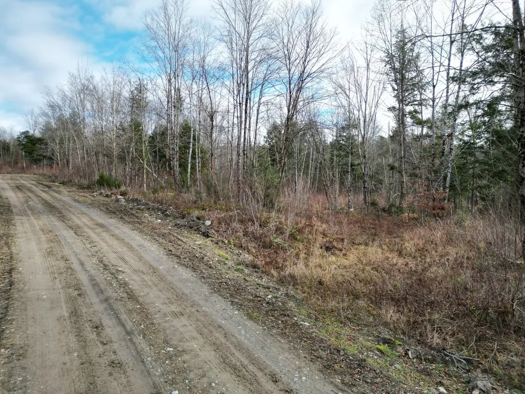 Lot 14 Ghost Road Springfield ME 04487