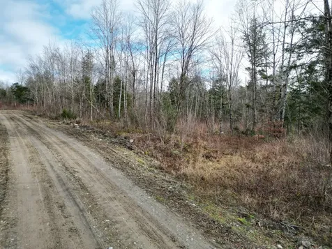 Lot 14 Ghost Road Springfield ME 04487