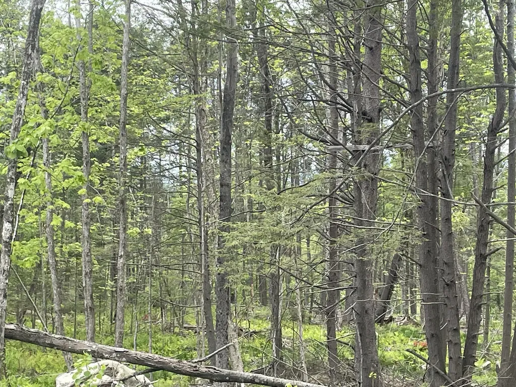 R8 L13,13a Zions Hill Road Chesterville ME 04938