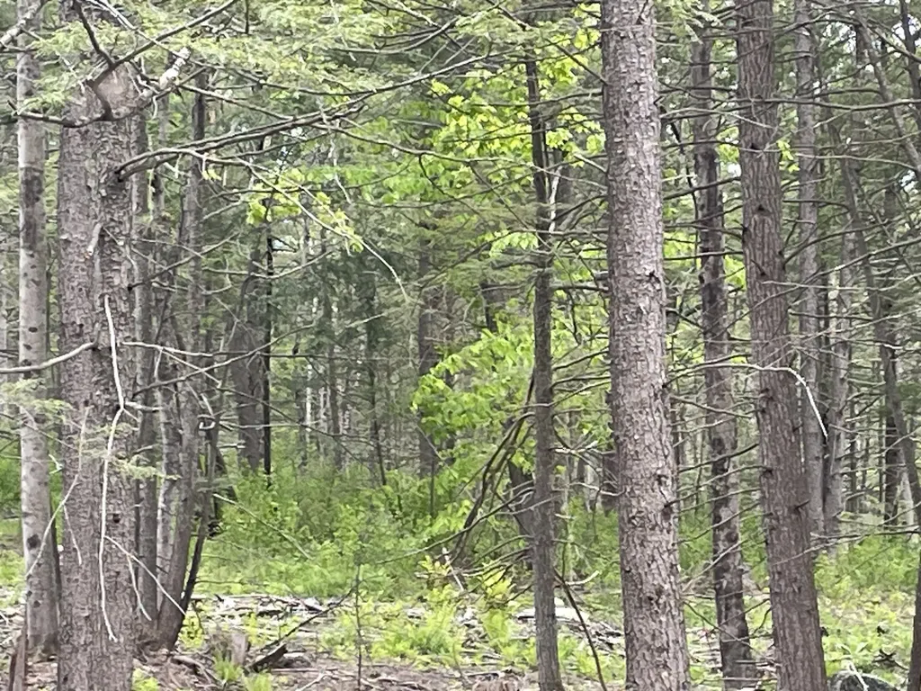 R8 L13,13a Zions Hill Road Chesterville ME 04938