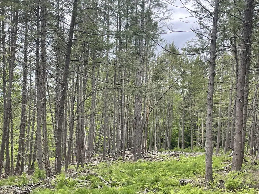 R8 L13,13a Zions Hill Road Chesterville ME 04938