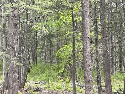 R8 L13,13a Zions Hill Road Chesterville ME 04938