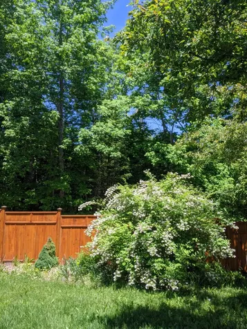 455 Village Road Jackson ME 04921