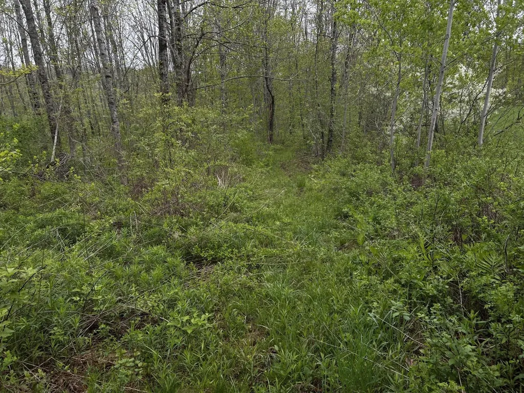 696 Lebanon Road Winterport ME 04496