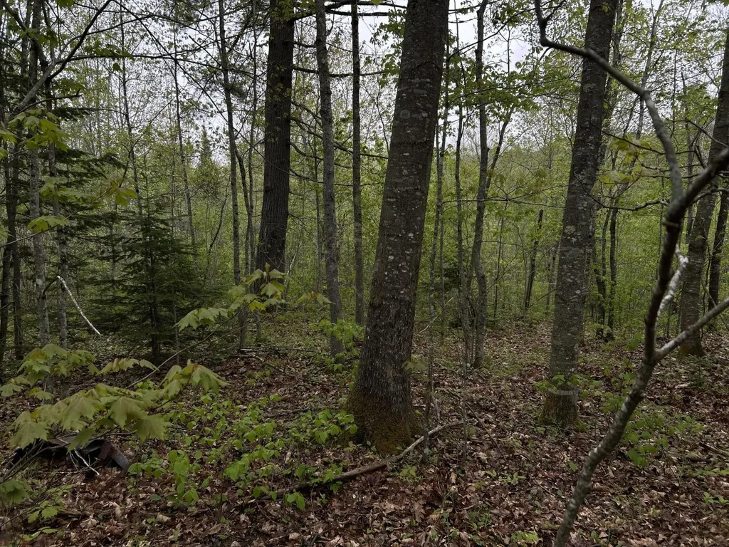 696 Lebanon Road Winterport ME 04496