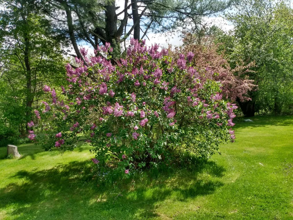 12 Old Route 1 Searsport ME 04974