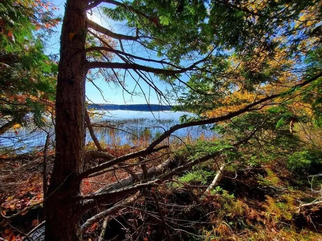 0 Blackcat Point Drive Princeton ME 04668