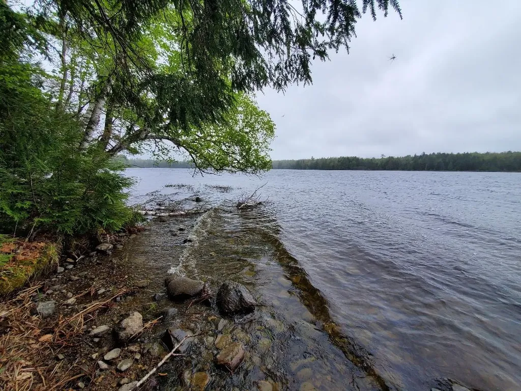 0 Blackcat Point Drive Princeton ME 04668