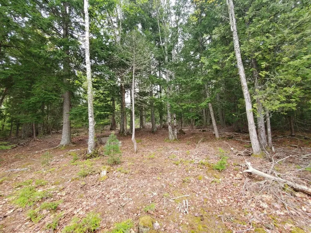 0 Blackcat Point Drive Princeton ME 04668