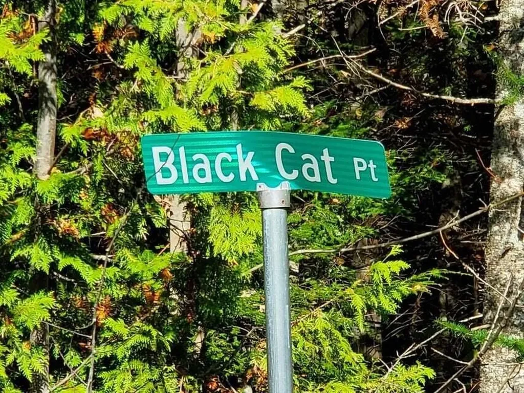 0 Blackcat Point Drive Princeton ME 04668