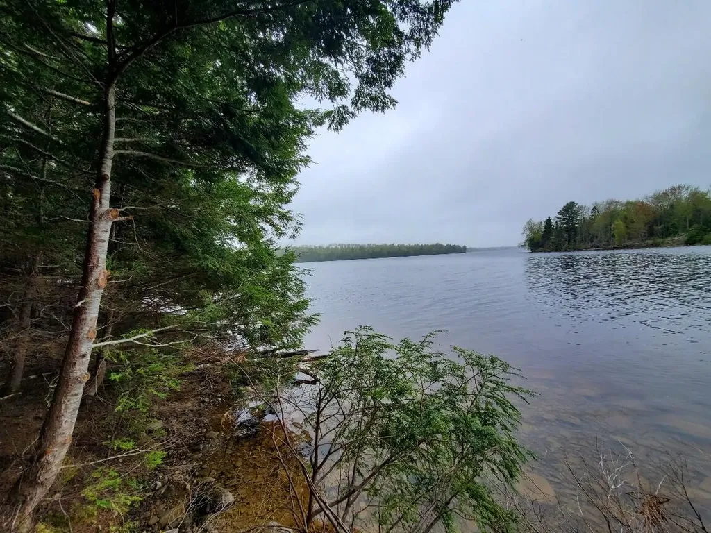0 Blackcat Point Drive Princeton ME 04668