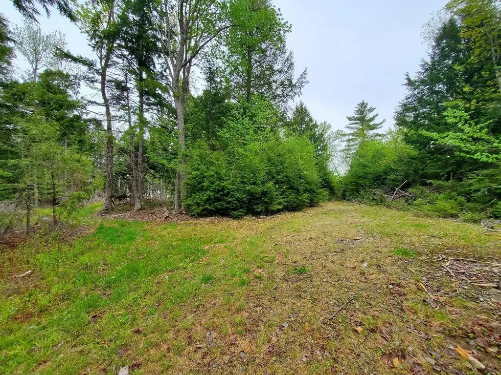 0 Blackcat Point Drive Princeton ME 04668